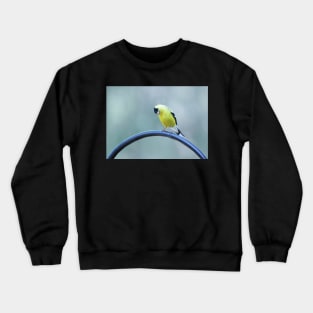 Expressive Goldfinch Crewneck Sweatshirt